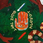 It Started In The Woods