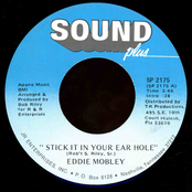 Stick It In Your Ear Hole