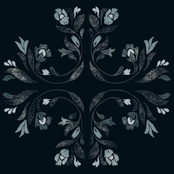 Sleep: Songs for the Anxious