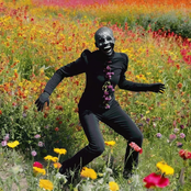 April Palindrome Deluxe