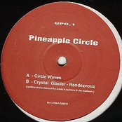 pineapple circle