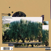 Spit - Single
