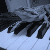 EBM ADDICTION 10,000 Vol. II