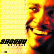 It Wasn't Me by Shaggy