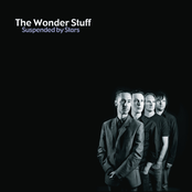 Angelica Maybe by The Wonder Stuff