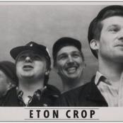 eton crop