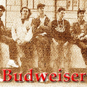 Budweiser