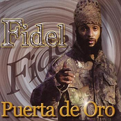 Fidel Nadal: Puerta De Oro