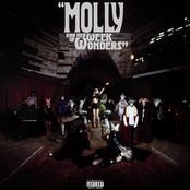 Molly Santana: MOLLY AND HER WEEK OF WONDERS