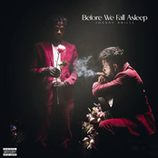 Before We Fall Asleep