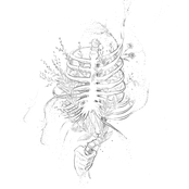 Todo el Mundo Está Roto