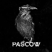 Zeit Des Erwachens by Pascow