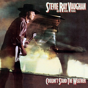 The Things (that) I Used To Do by Stevie Ray Vaughan And Double Trouble