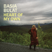 Walk You Down by Basia Bulat