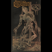 De Humani Corpois Fabrica