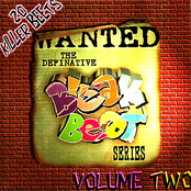 Break Beat Series : Vol. 2, 20 Killer Beets