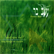 Song Through The Meadow