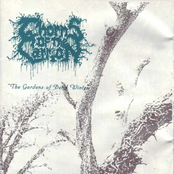 Mourners At The Edge Of Black Rain by Thorns Of The Carrion