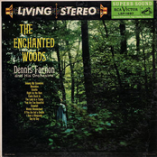 The Enchanted Woods