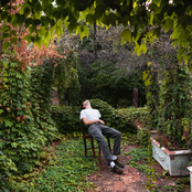 Stella | La Luna e Saturno