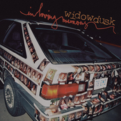 widowdusk: Widowdusk / In Loving Memory split