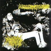 Scatologic Madness Possession / Industrial Noise