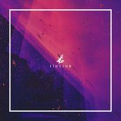 Dye the moment purple