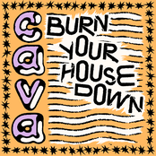 Burn Your House Down