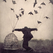 Systems of Romance Vol. 5