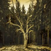 The Beginning to an Ending