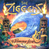 Surfin' Buena Park by The Ziggens