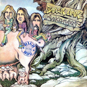 Black Oak Arkansas: High on the Hog