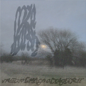 Willow Bridge at Nightfall