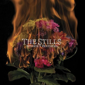 In The Beginning by The Stills