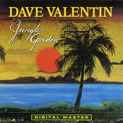 Very Nice Indeed by Dave Valentin