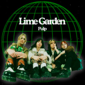 Lime Garden: Pulp