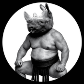 Between Sand and Roses