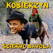 Ścierwo Bawoła