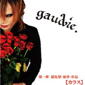 錯乱型-独章-作品【カラス】