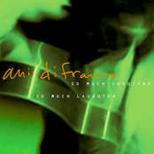 What How When Where (why Who) by Ani Difranco
