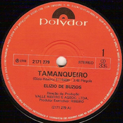 Tamanqueiro