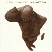 Ca Va Chouia by Manu Dibango