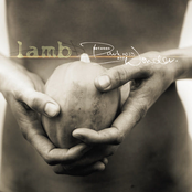 Lamb: Between Darkness And Wonder