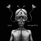 Strange Birds
