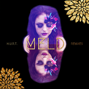 Meld: H.U.R.T.: The Remixes