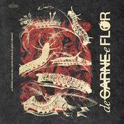 As Libélulas Insones (ou A Aposta Indecisa de Apolo e Dionísio)