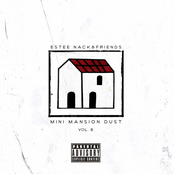 #MINIMANSIONDUST, Vol. 6