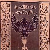 The Catlin Elm / Coma Regalia