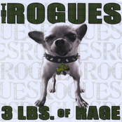 Suo Gan by The Rogues