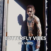 Butterfly Vibes